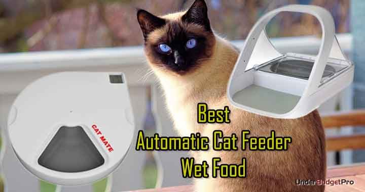 best automatic cat feeder wet food